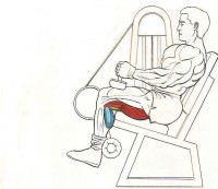 /album/zakopavani-v-sede/svaly-zakopavani-012-jpg/